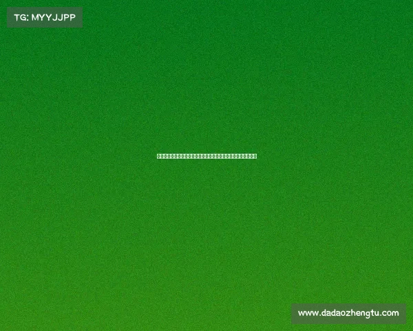 香港女篮精彩赛事强强对话激情四溢展现实力与团队精神魅力绽放