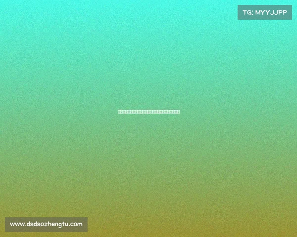 新县赛事新县体育盛事激情上演万众瞩目共创辉煌新篇章